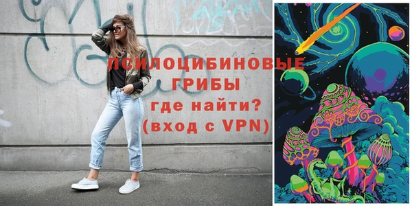 индика Абаза