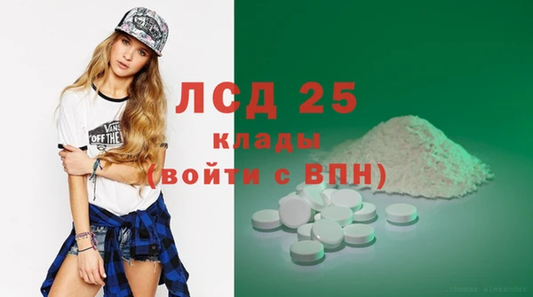 индика Абаза