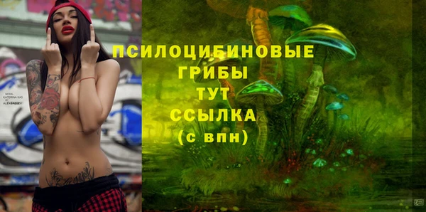 прущий лед Киренск