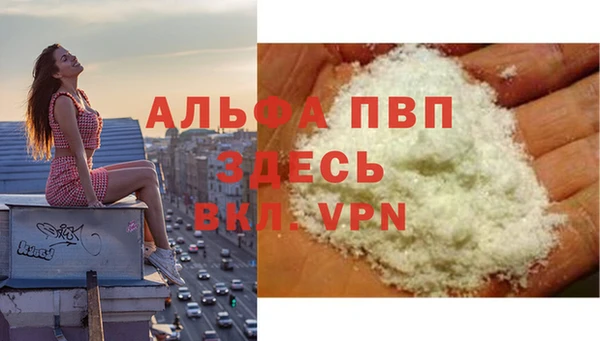 мет Алексин