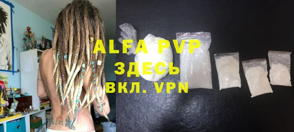 индика Абаза