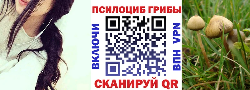 Галлюциногенные грибы ЛСД  как найти   Белая Калитва 